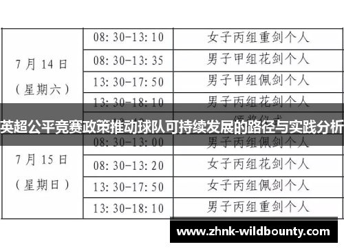 英超公平竞赛政策推动球队可持续发展的路径与实践分析