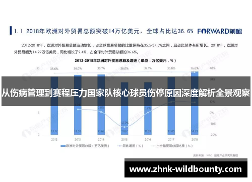 从伤病管理到赛程压力国家队核心球员伤停原因深度解析全景观察