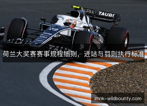 荷兰大奖赛赛事规程细则，进站与罚则执行标准