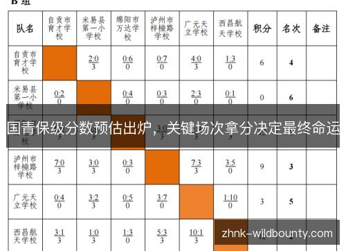 国青保级分数预估出炉，关键场次拿分决定最终命运